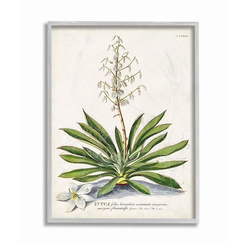 Stupell Industries Botanical Fern Illustration Wall Art in Gray Frame