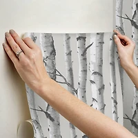 InHome Birch Forest Gray Peel & Stick Wallpaper
