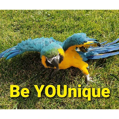 Sparkly Selections Be YOUnique Diamond Painting Kit, Square Diamonds