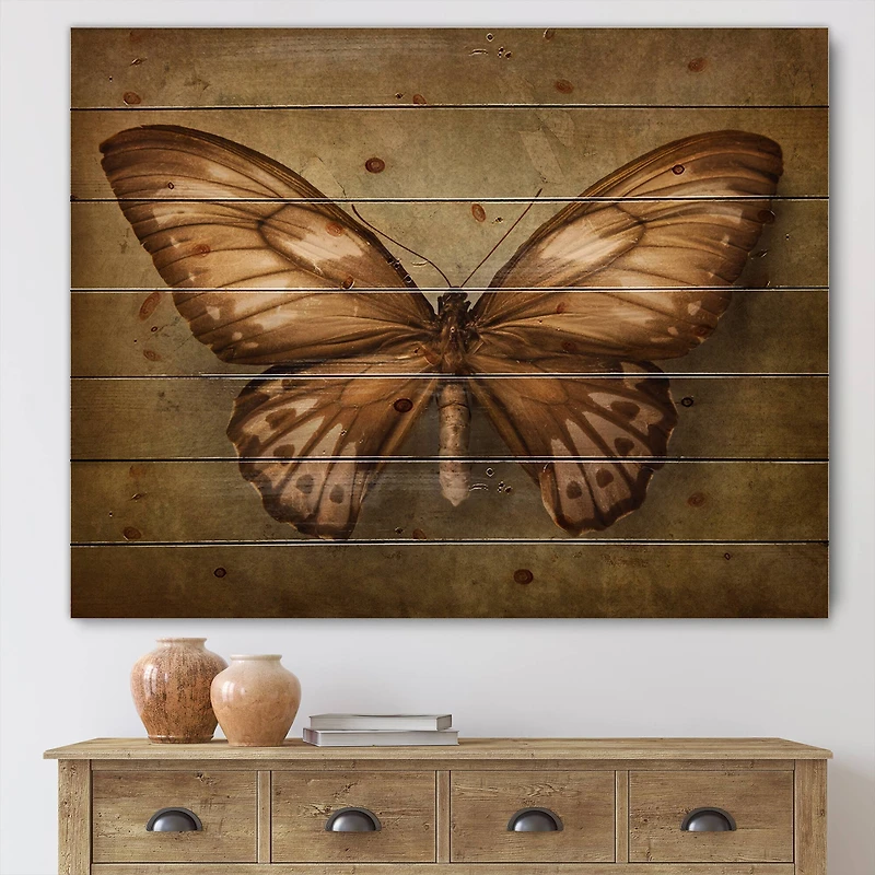 Designart - Vintage Butterfly In Earth Tones