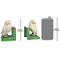 Design Toscano 4.5" Wise Snowy Owl Cast Iron Sculptural Bookend Pair