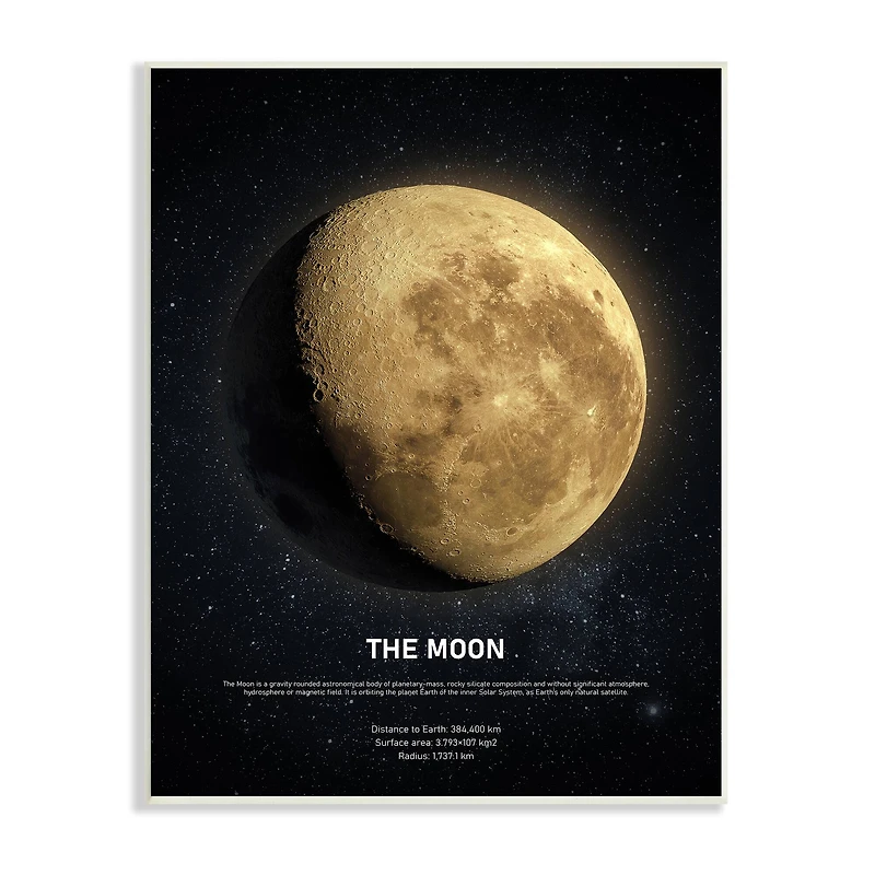 Stupell Industries Earth's Moon Celestial Facts Outer Space Infographic Wall Plaque
