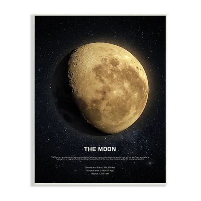 Stupell Industries Earth's Moon Celestial Facts Outer Space Infographic Wall Plaque
