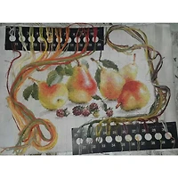 Alisa Pears Cross Stitch Kit