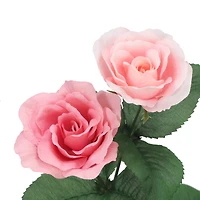 15.5" Tea Rose Bush by Ashland