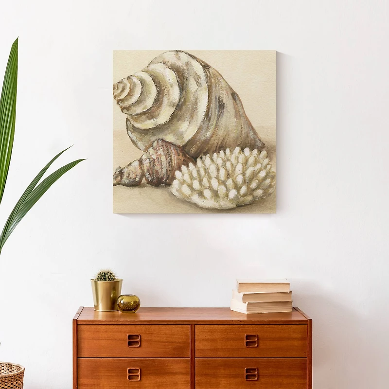 Conch And Sea Shells 20" x 20" Canvas Wall Art
