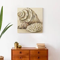 Conch And Sea Shells 20" x 20" Canvas Wall Art