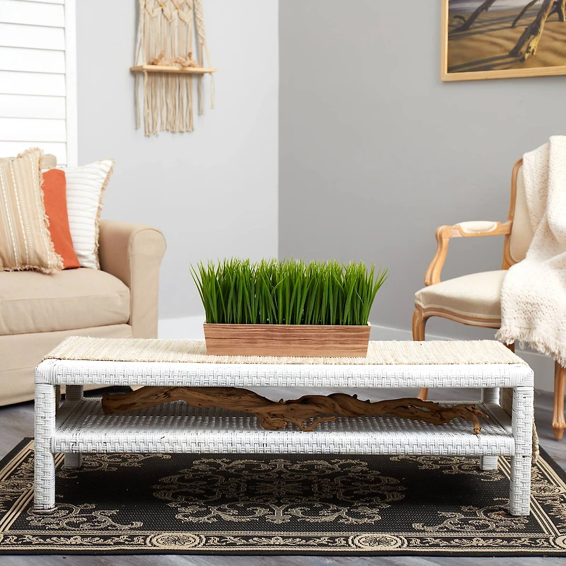 10" Vanilla Grass Plant in Decorative Planter