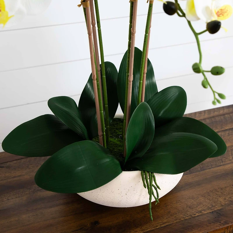 23" Orchid Arrangement in White Ceramic Planter