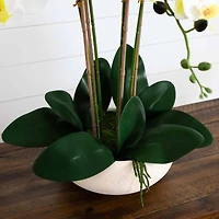 23" Orchid Arrangement in White Ceramic Planter