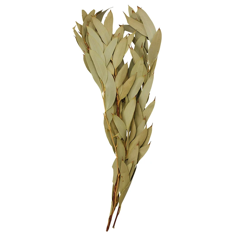 21" Amber Fruit Foliage Bundle by Ashland®