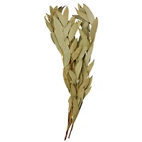 21" Amber Fruit Foliage Bundle by Ashland®