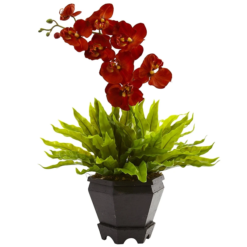 20" Rust Orchid & Fern Arrangement with Wood Planter