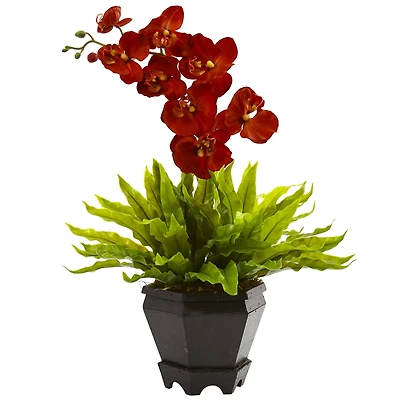 20" Rust Orchid & Fern Arrangement with Wood Planter