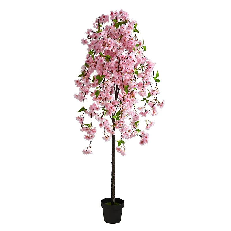 5ft. Potted Cherry Blossom Tree