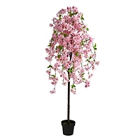 5ft. Potted Cherry Blossom Tree