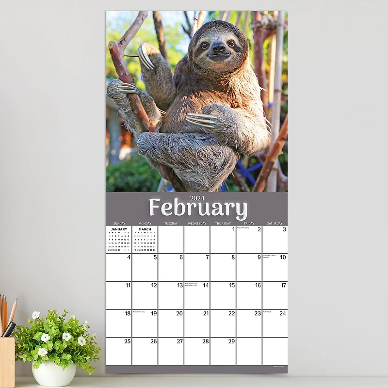 TF Publishing 2024 Sloths Wall Calendar