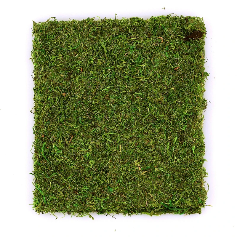 SuperMoss® Instant Green All-Purpose Moss Mat