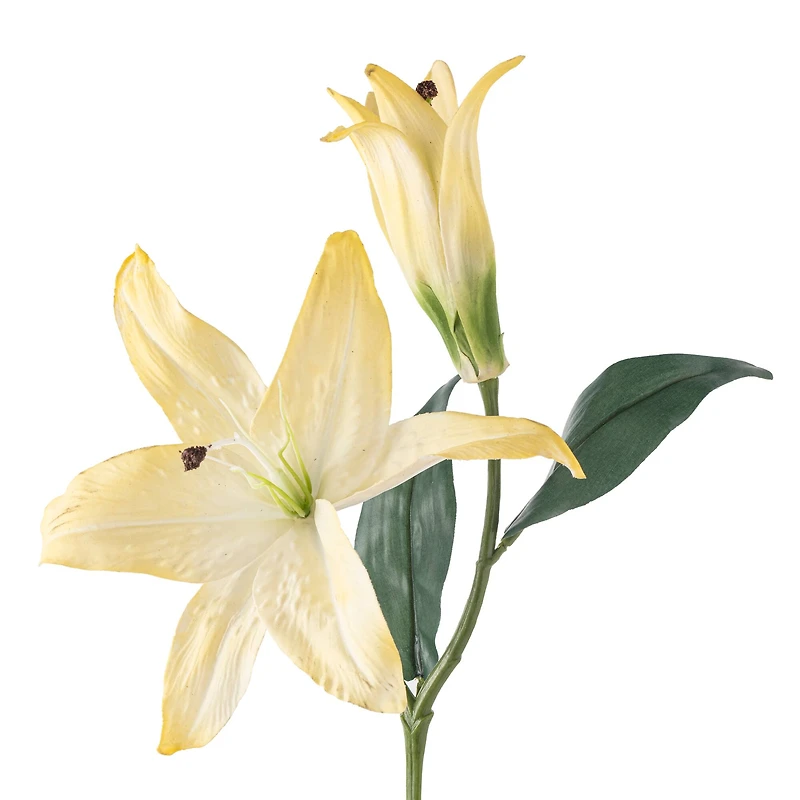 12 Pack: White Casablanca Lily Stem by Ashland®