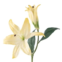 12 Pack: White Casablanca Lily Stem by Ashland®