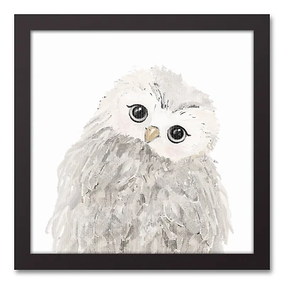 Curious Baby Owl 13.73" x 13.73" Black Framed Canvas