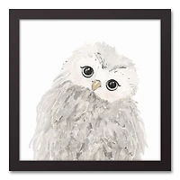 Curious Baby Owl 13.73" x 13.73" Black Framed Canvas