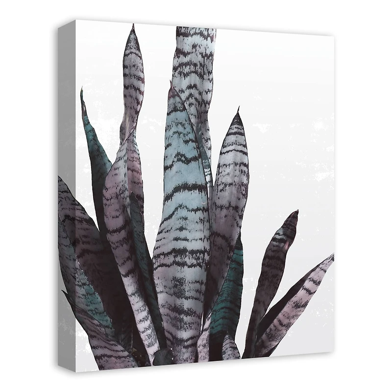Snake Plant 16" x 20" Canvas Wall Art