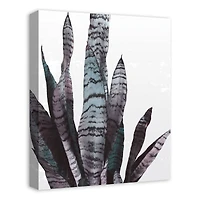 Snake Plant 16" x 20" Canvas Wall Art
