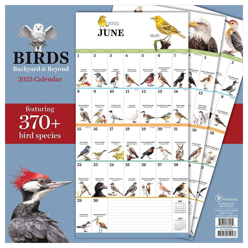 TF Publishing 2025 Birds: Backyard & Beyond Wall Calendar