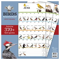 TF Publishing 2025 Birds: Backyard & Beyond Wall Calendar