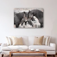 Wild Horses Canvas Giclee