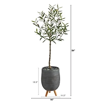 4.5ft. Olive Tree in Gray Planter with Stand
