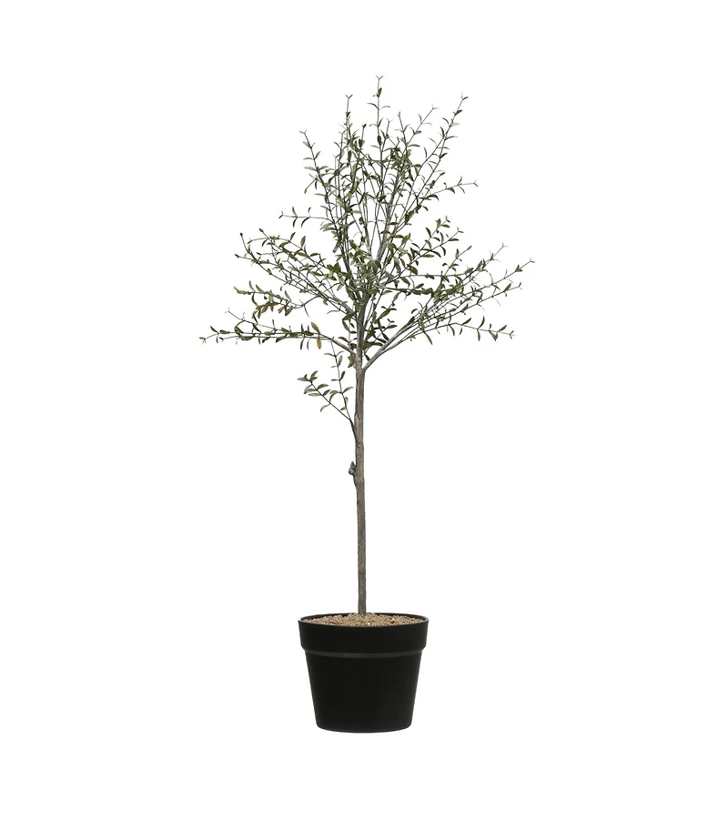 Hello Honey® 29" Potted Thyme Topiary Tree