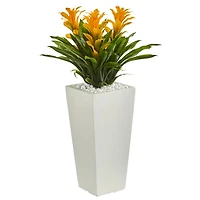 2ft. Triple Bromeliad Plant in White Tower Planter