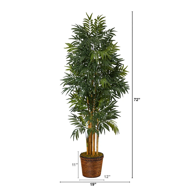 6ft. Phoenix Palm Tree in Wicker Planter