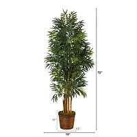 6ft. Phoenix Palm Tree in Wicker Planter