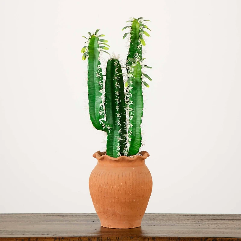 2ft. Cactus in Terracotta Planter