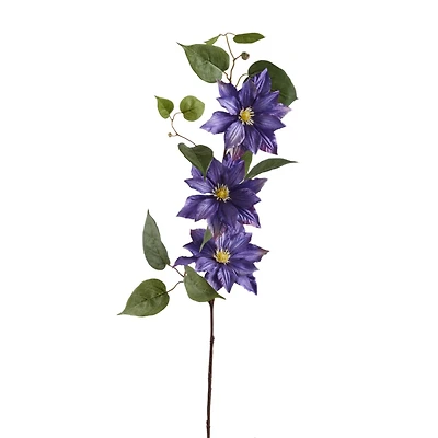 12 Pack: Purple Clematis Stem by Ashland®