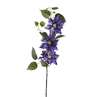 12 Pack: Purple Clematis Stem by Ashland®