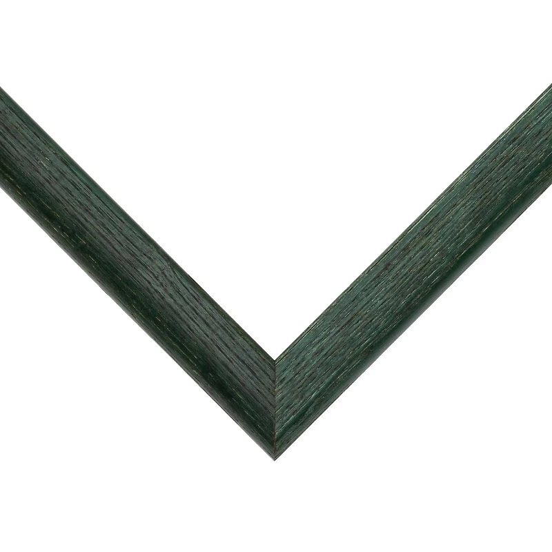 Frame USA Economy Dark Green Single Image Picture Frame