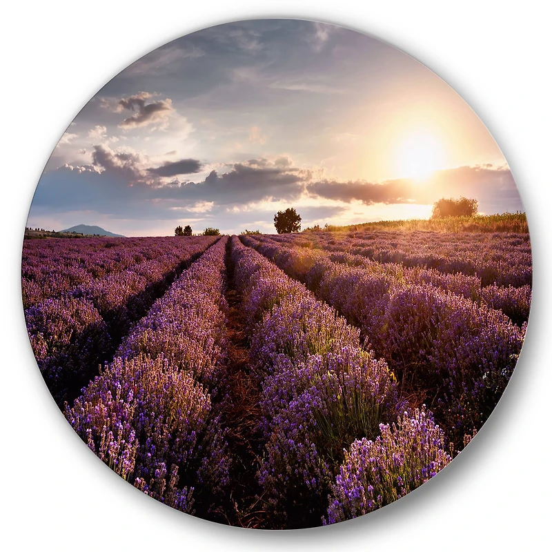 Designart - Sunrise & Dramatic Clouds Over Lavender Field V
