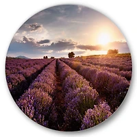 Designart - Sunrise & Dramatic Clouds Over Lavender Field V