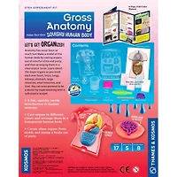 Thames & Kosmos Gross Anatomy Make-Your-Own Squishy Human Body