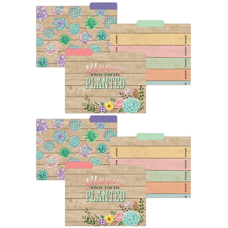 Teacher Created Resources Rustic Bloom File Folders, 2 Packs of 12