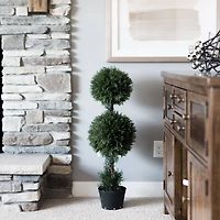 3ft. Potted Cedar Double Ball Topiary Tree