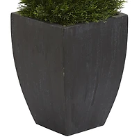 5ft. UV Resistant Double Pond Cypress Spiral Topiary Artificial Tree in Black Wash Planter
