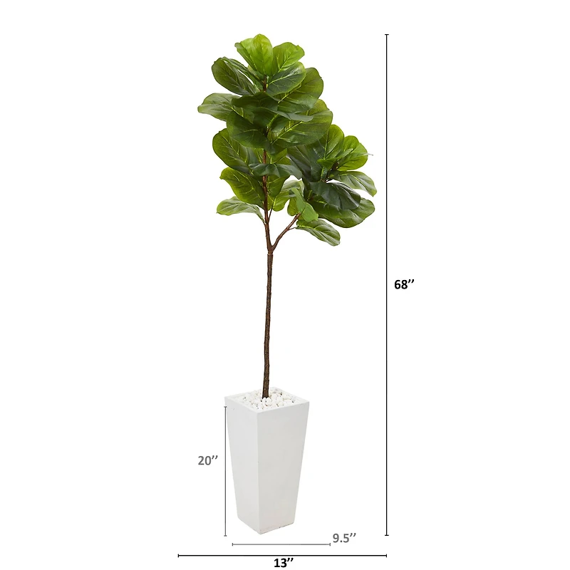 5.5ft. Fiddle Leaf Fig Tree in White Planter