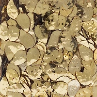 Gold Specialty Polyester Glitter by Recollections™