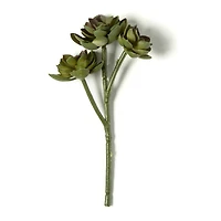 Ashland® Succulent Pick