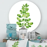 Designart - Moringa Branch Tropical Tree Foliage